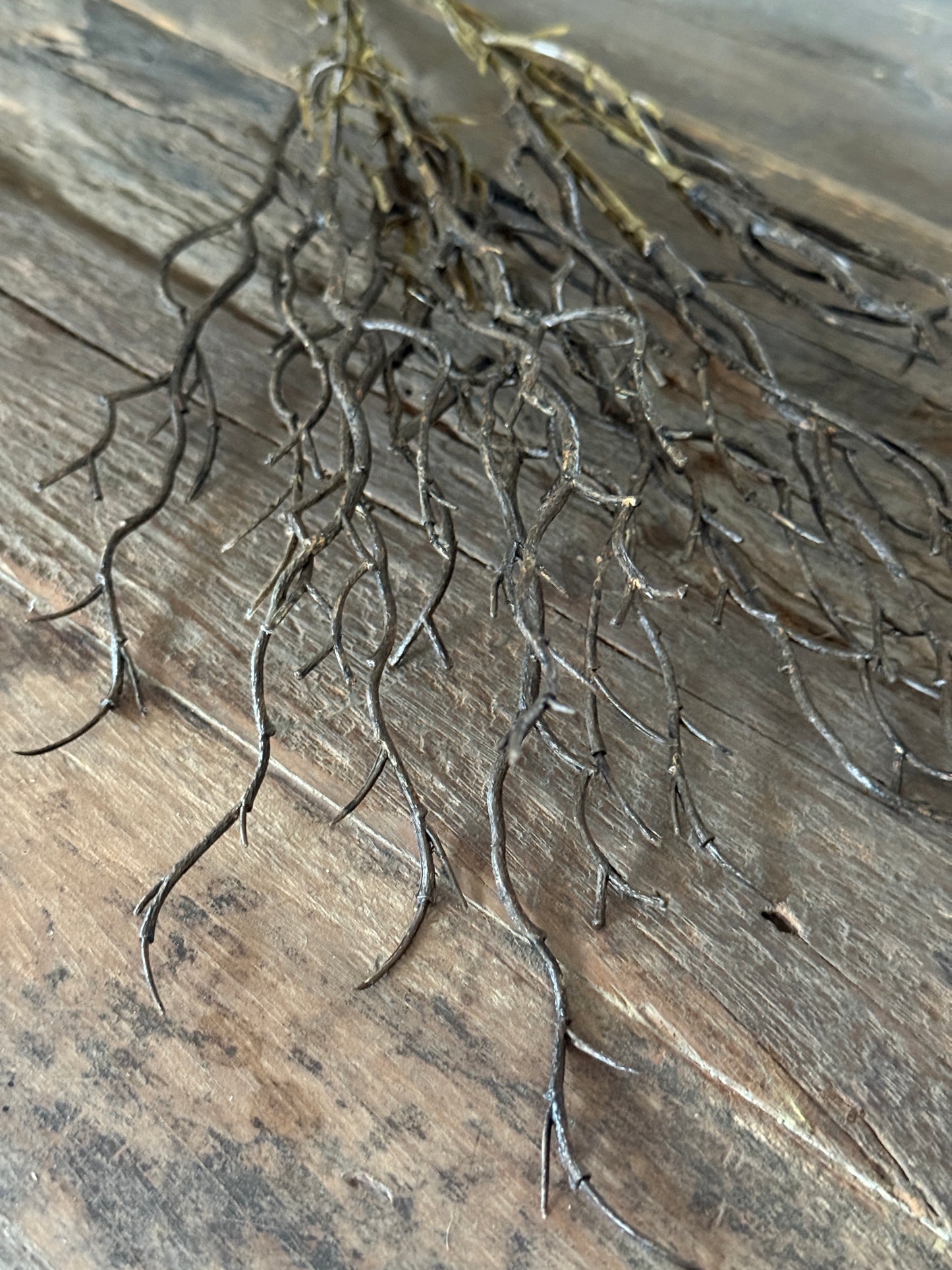 Art Myrica Bundle – 3 Brown Branches