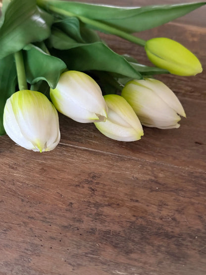 Bund mit 5 weißen Tulpen, 30 cm.
