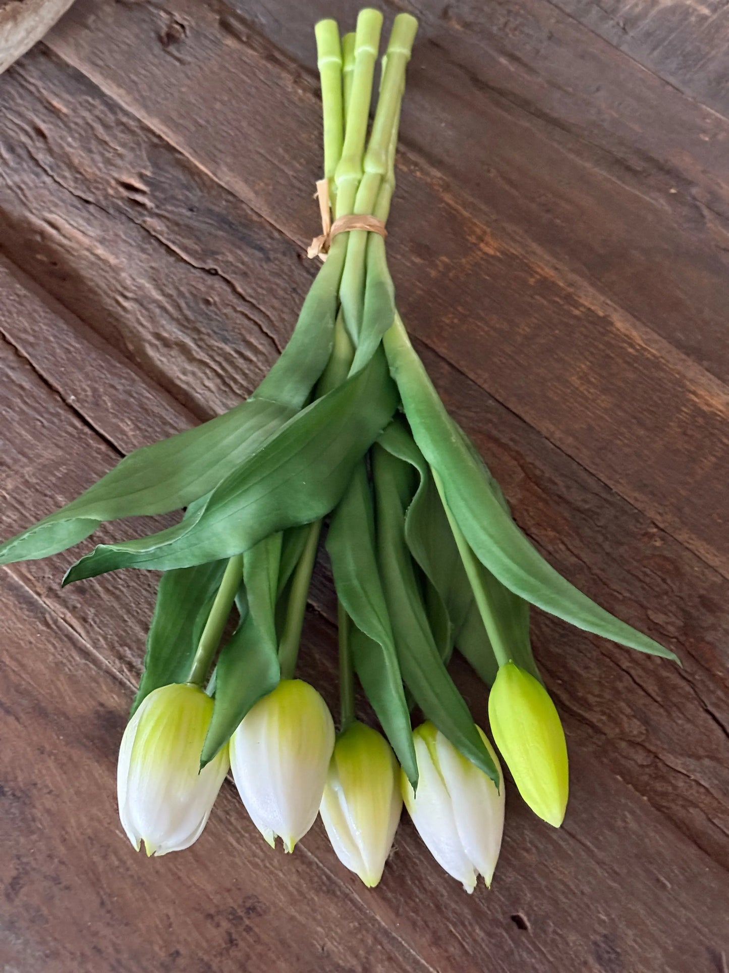 Bund mit 5 weißen Tulpen, 30 cm.
