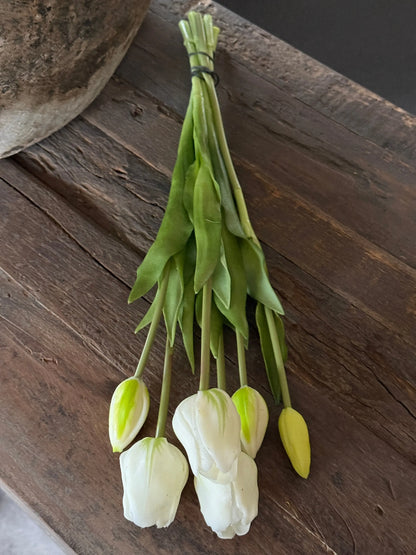 Strauß mit 6 Tulpen, 47 cm, weiß.
