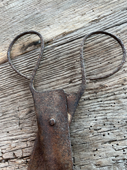 Old iron scissors