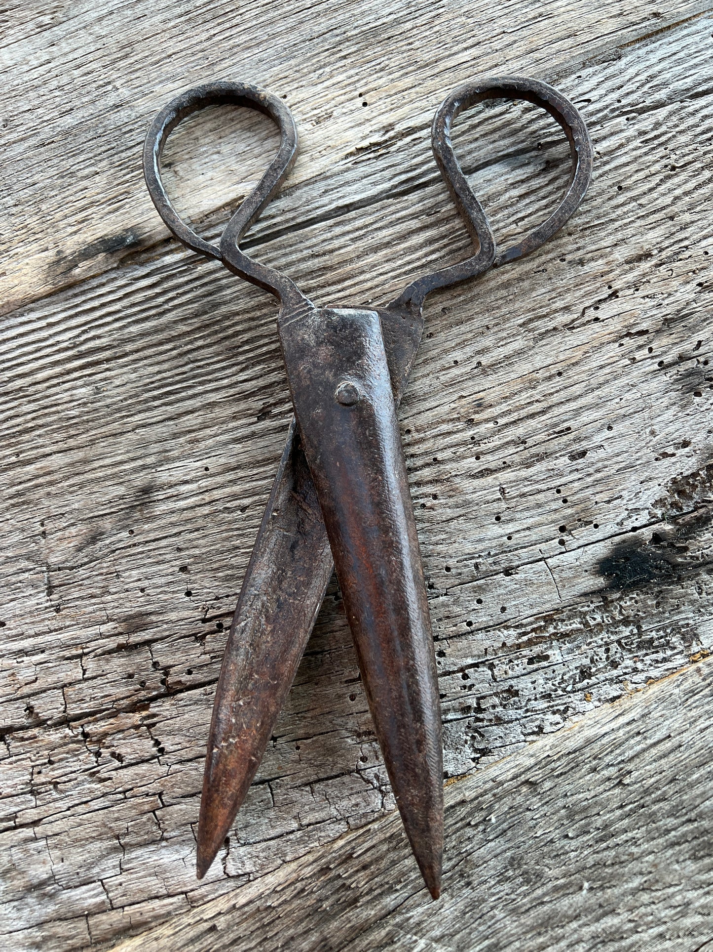 Old iron scissors