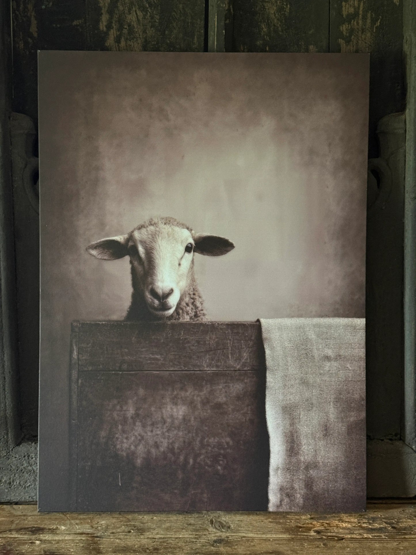 Canvas schilderij Geit