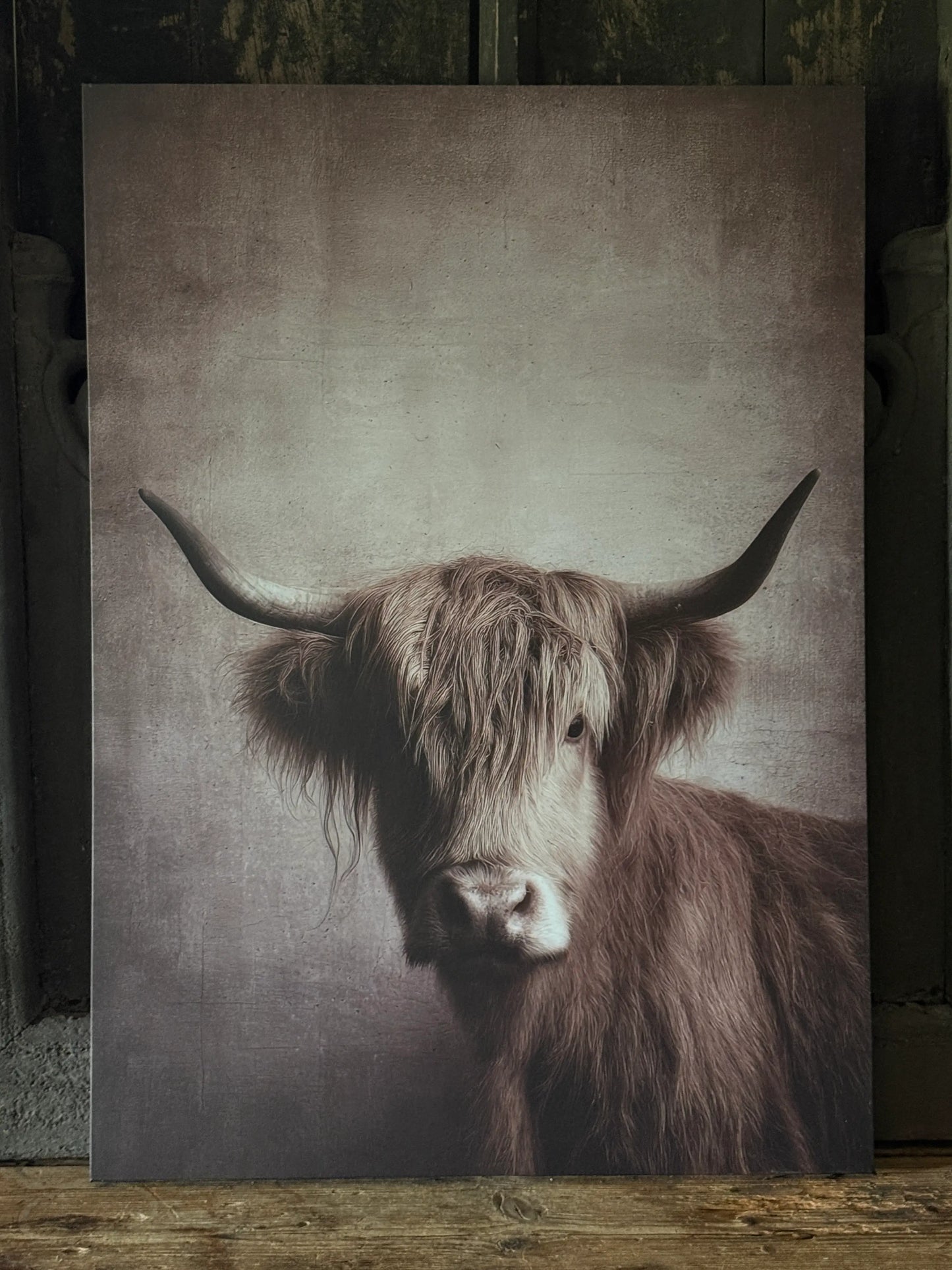 Canvas schilderij Buffel