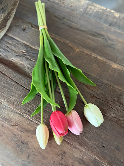 Bund mit 5 Tulpen, 36 cm. Weiß/Rosa