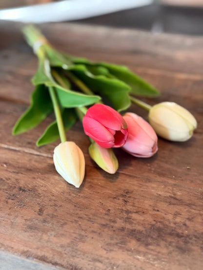 Bund mit 5 Tulpen, 36 cm. Weiß/Rosa