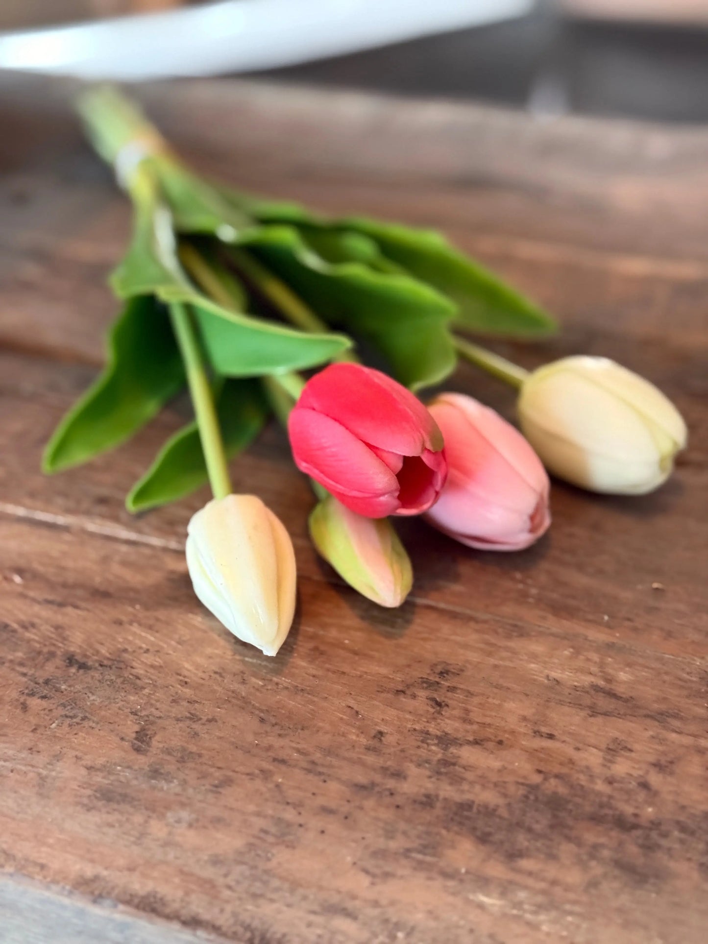 Bund mit 5 Tulpen, 36 cm. Weiß/Rosa