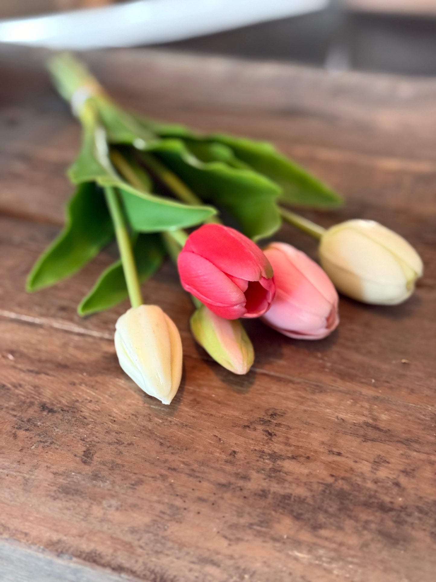 Bos Tulpen, 5 stuks, 36 cm. Wit / Roze