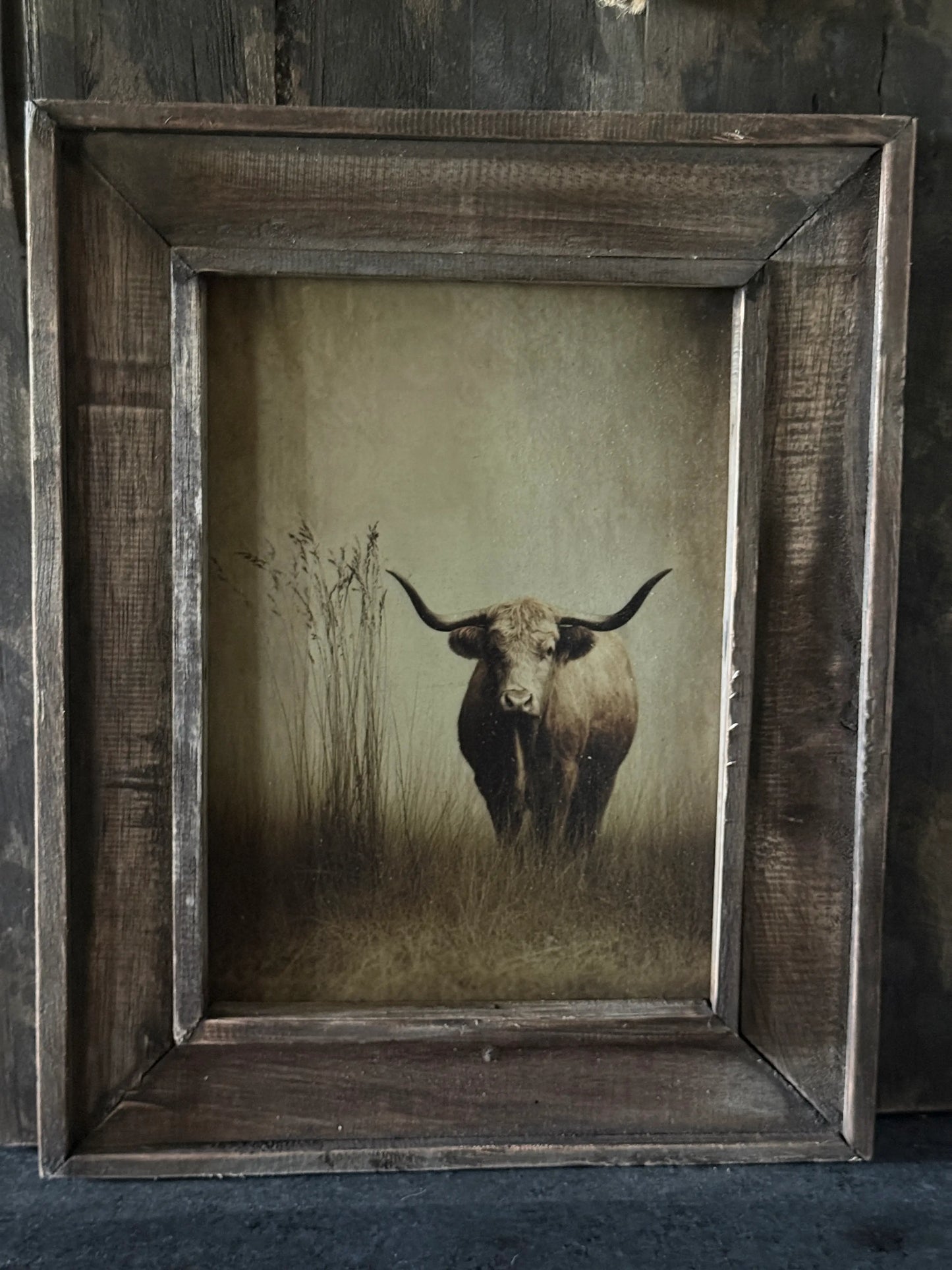 Wanddecoratie Buffel in Houten Lijst