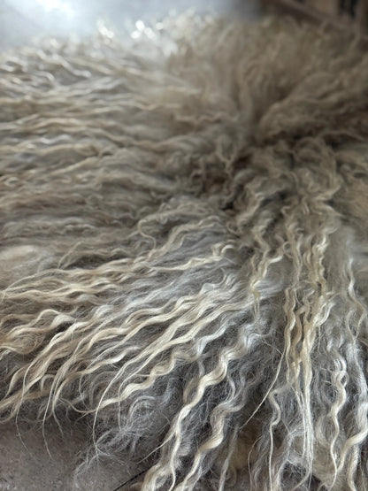 Coat Olilly