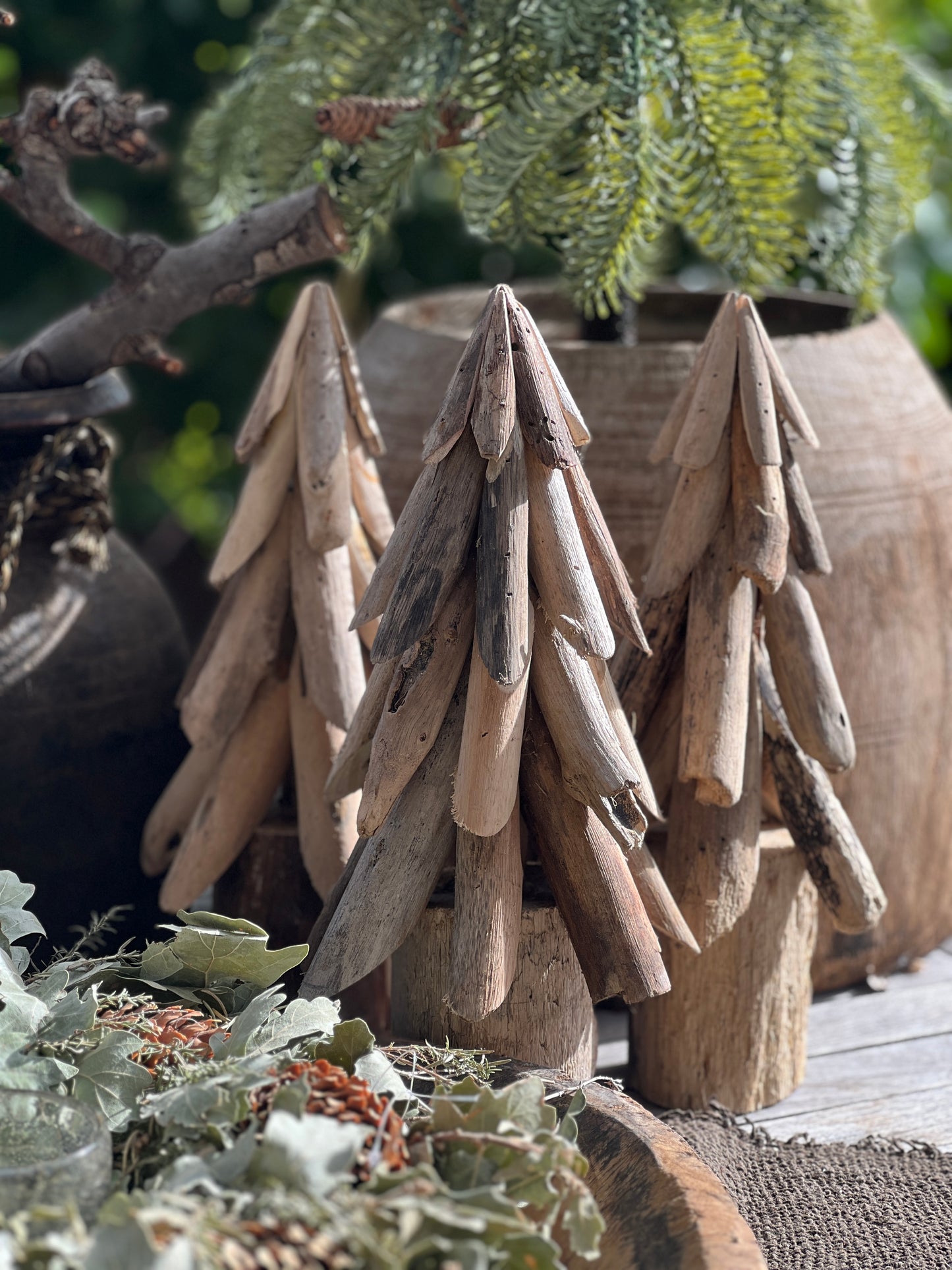 Christmas tree driftwood