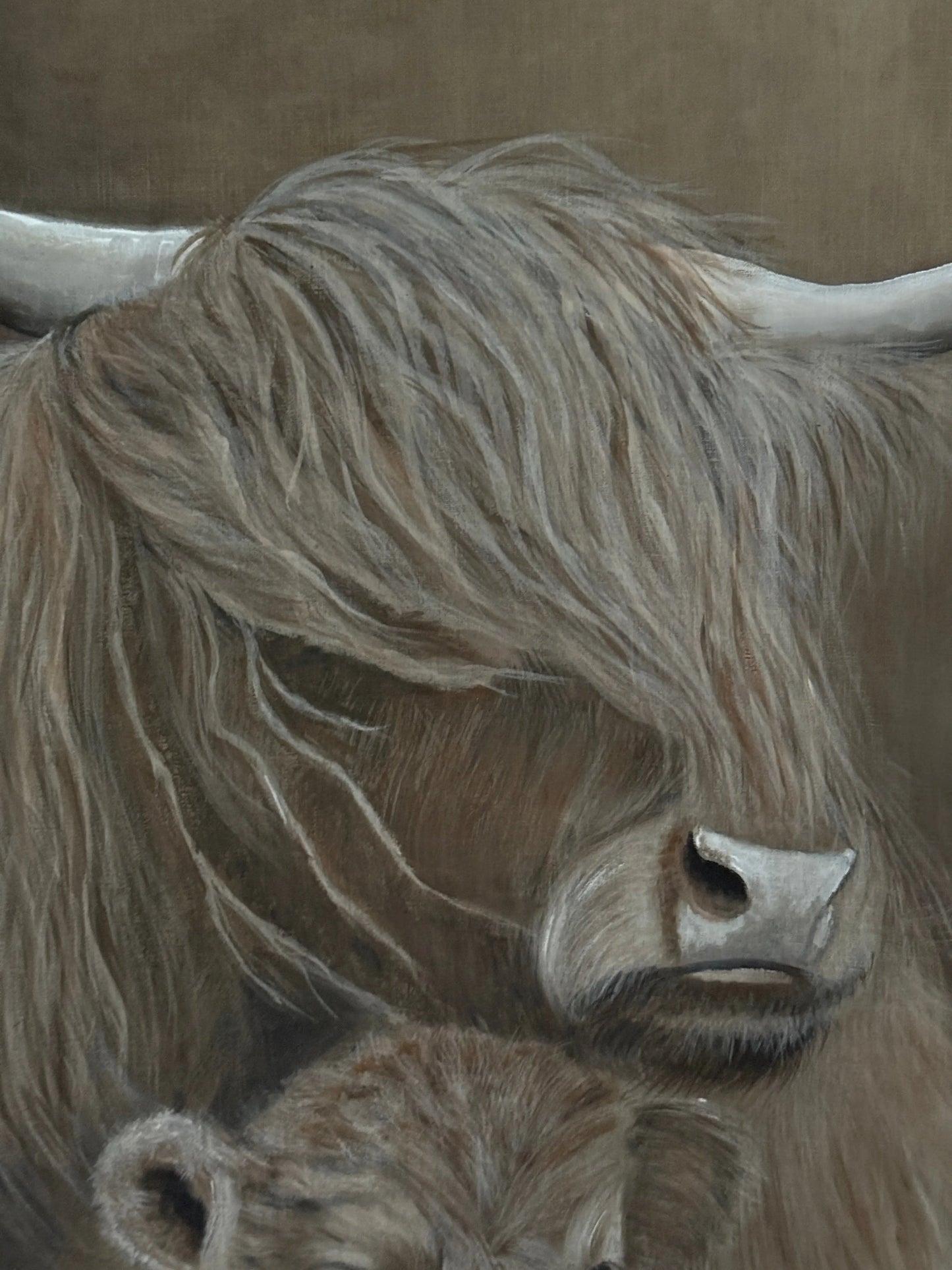 Chalk canvas "Scottish Highlander with Calf" – Hand painted by San7