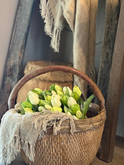 Strauß mit 7 Tulpen, 31 cm, weiß.