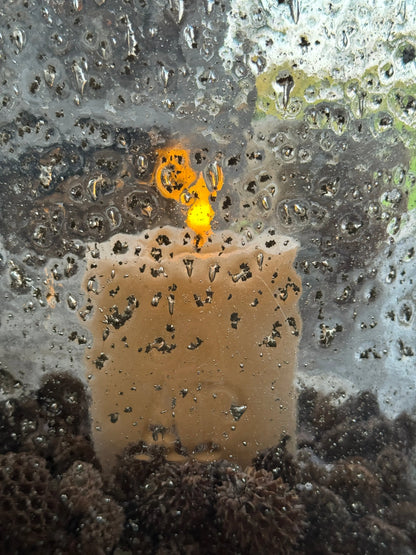 Aura Peeperkorn lantern. Available in XS/S/M/L/XL/XXL