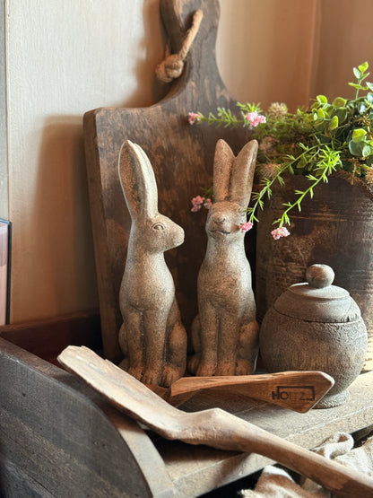 Set van 2 Konijntjes