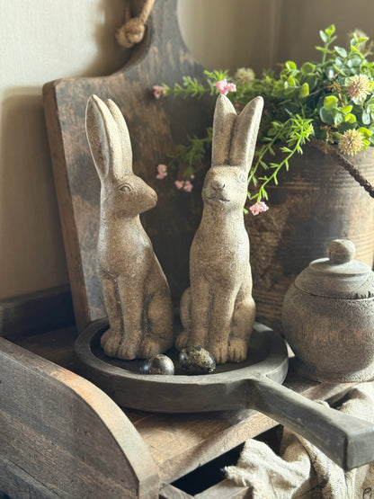 Set van 2 Konijntjes