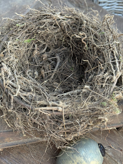 Carrot Nest available in 2 sizes