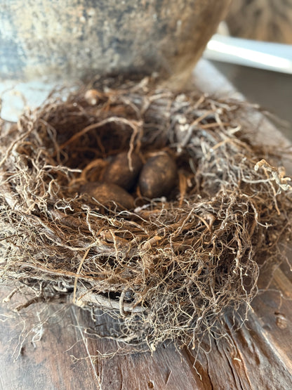 Carrot Nest available in 2 sizes