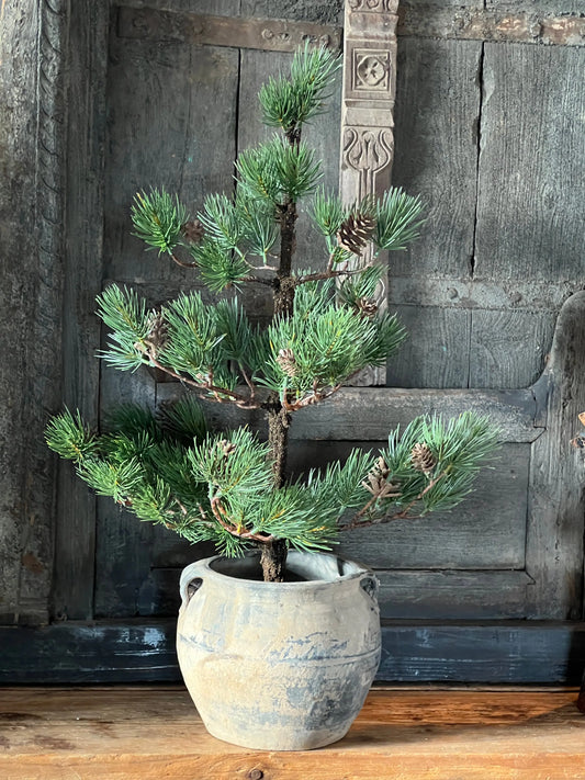 Kiefernbaum mit Tannenzapfen – 70 cm.