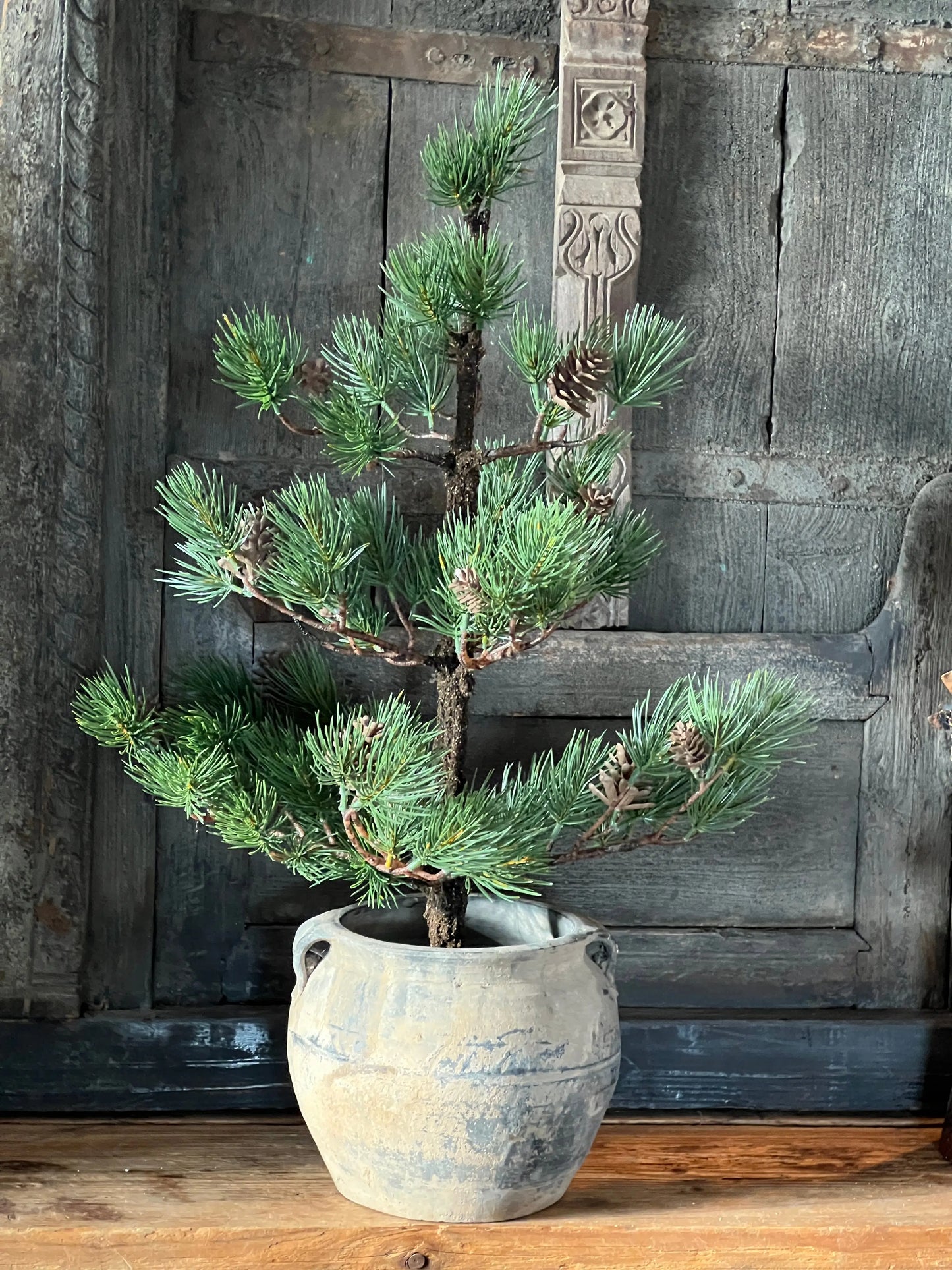 Kiefernbaum mit Tannenzapfen – 70 cm.
