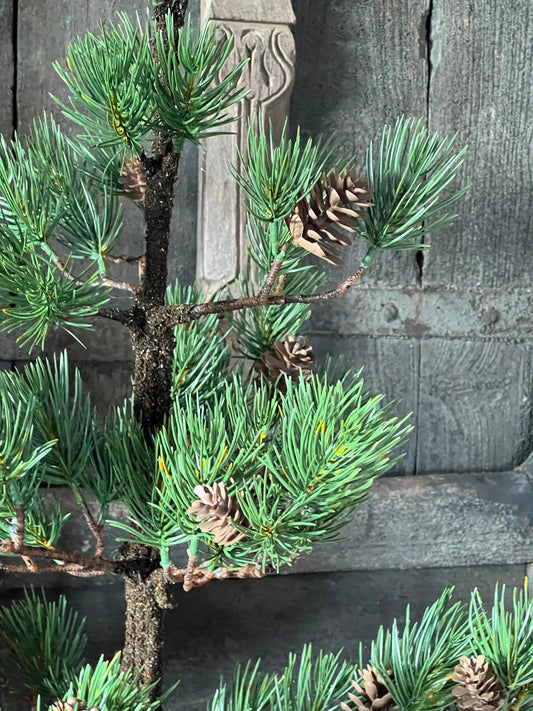 Kiefernbaum mit Tannenzapfen – 70 cm.