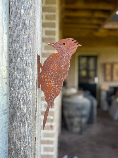 Geroeste Metalen Specht