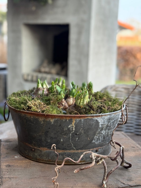 Old Oval Tray with Handles