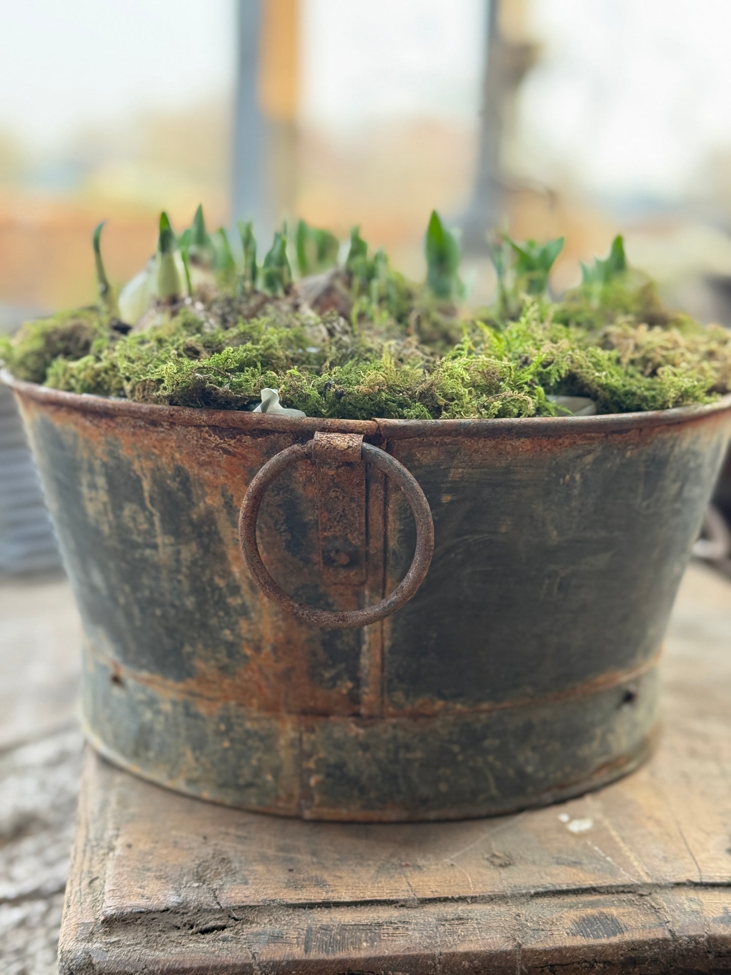 Old Oval Tray with Handles