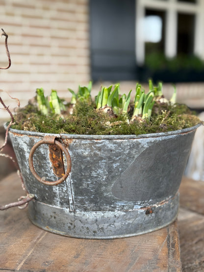 Old Oval Tray with Handles