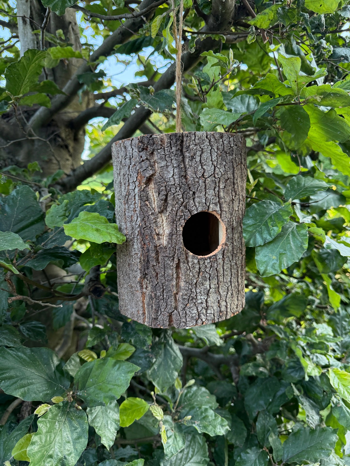 Vogelhaus aus Baumstamm