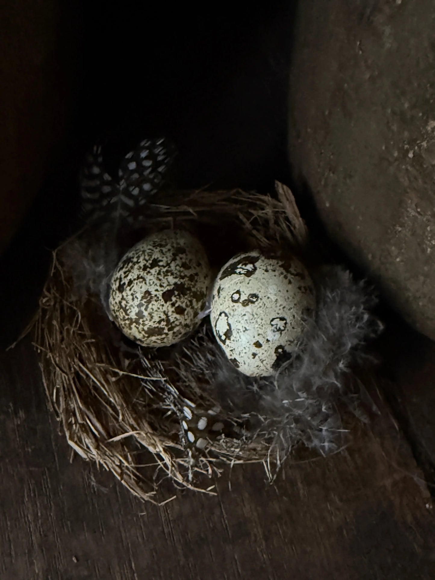 Dekoratives Vogelnest mit Wachteleiern
