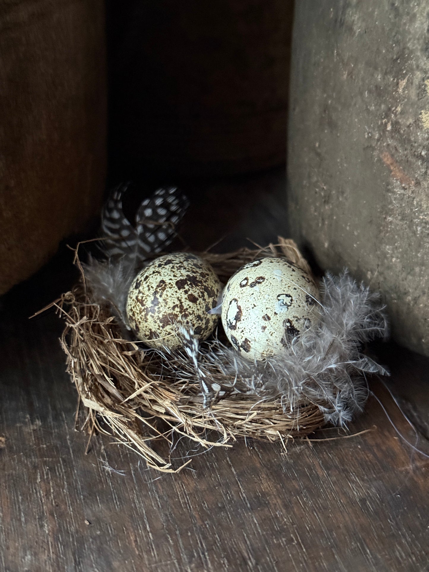 Decoratief vogelnestje met kwarteleitjes