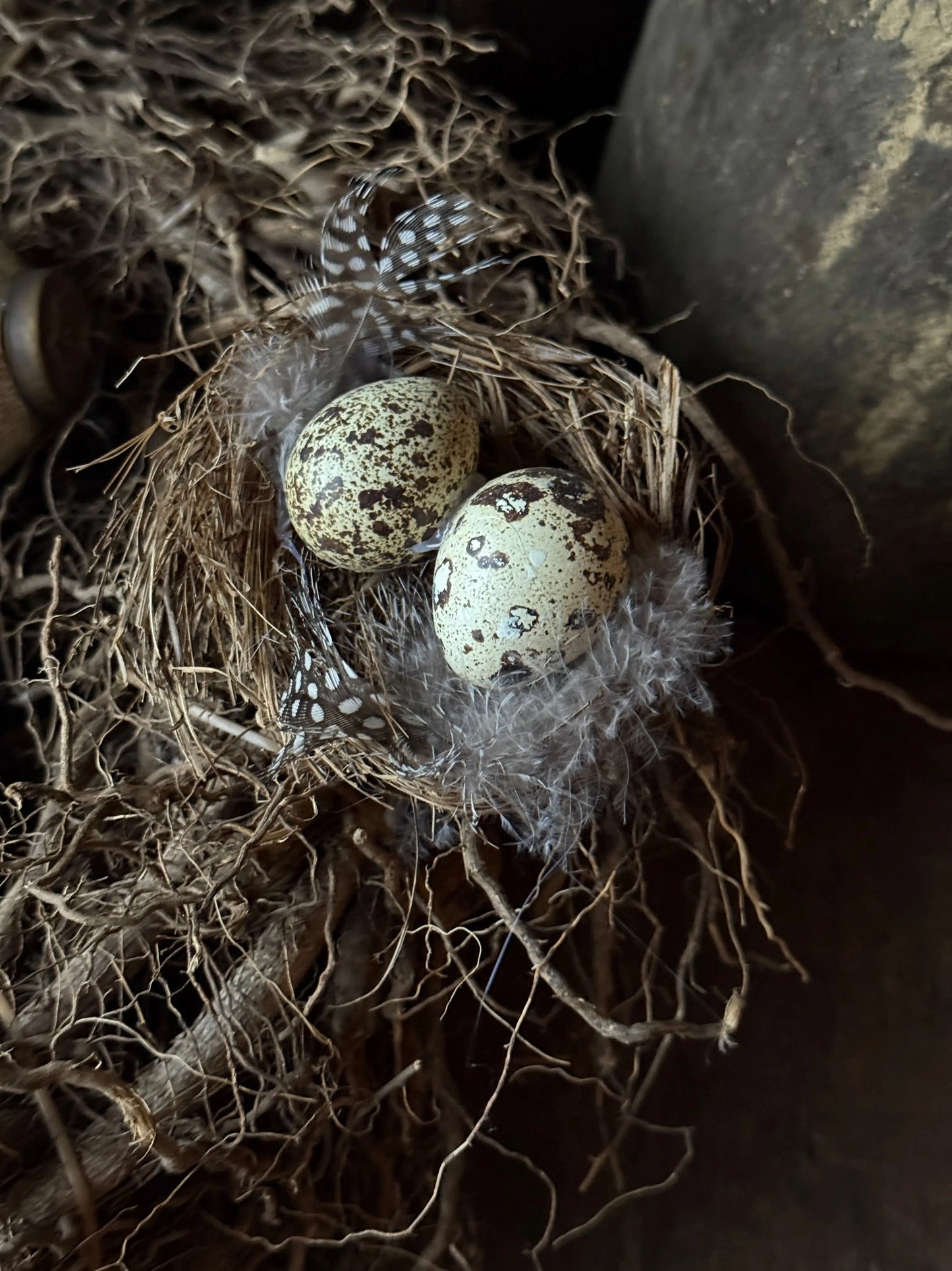 Dekoratives Vogelnest mit Wachteleiern