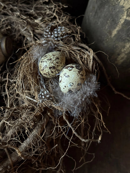 Dekoratives Vogelnest mit Wachteleiern