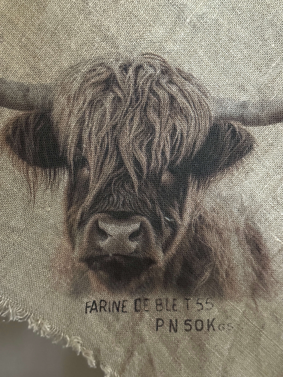 Shabby doek “Schotse Hooglander” (1)