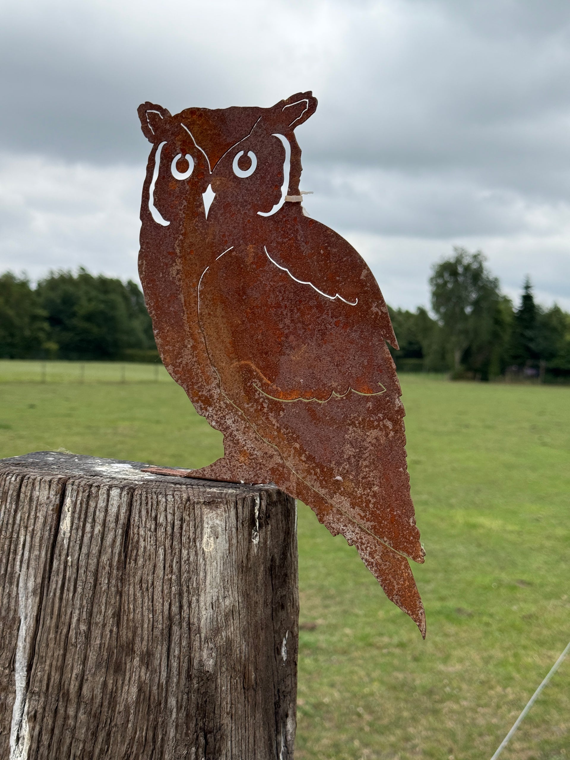 Groot beeld van een Uil - Metaal - recent