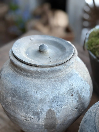 Old pot with lid - Trapa Living (left in the image)
