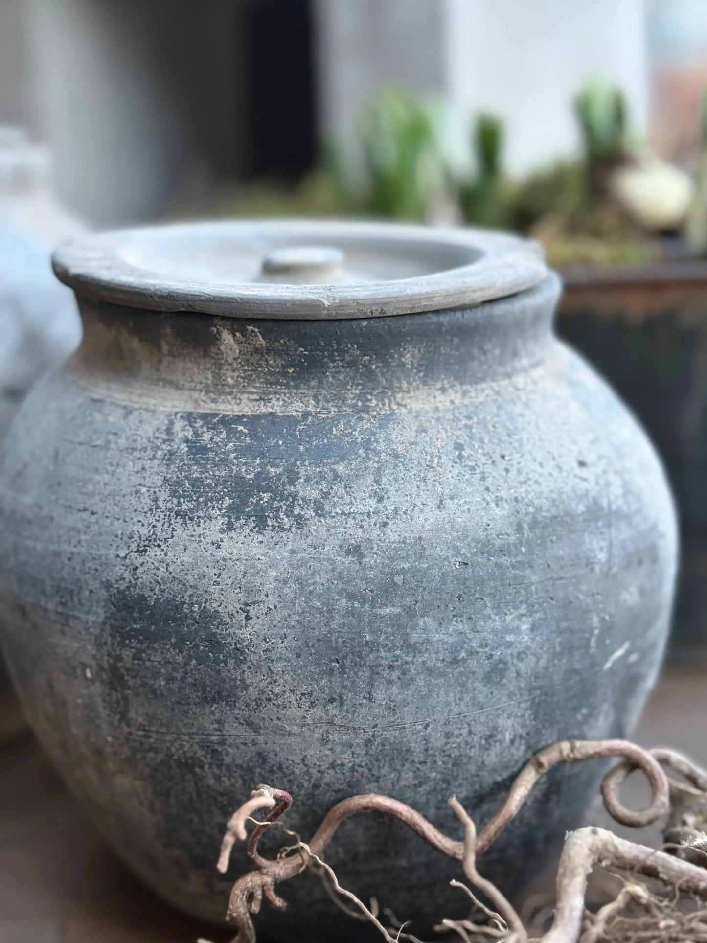 Old Jar with Lid - Trapa Living (right in the image)