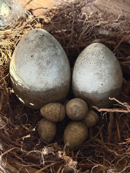 Betonei – PMR 8 cm. (Links im Bild)