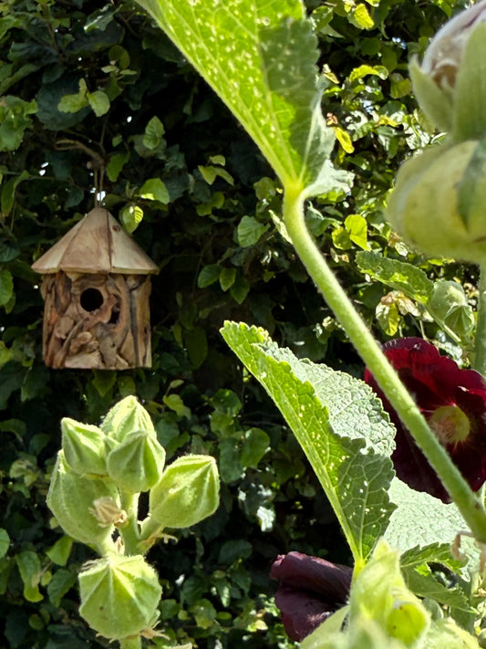Vogelhuis van drijfhout