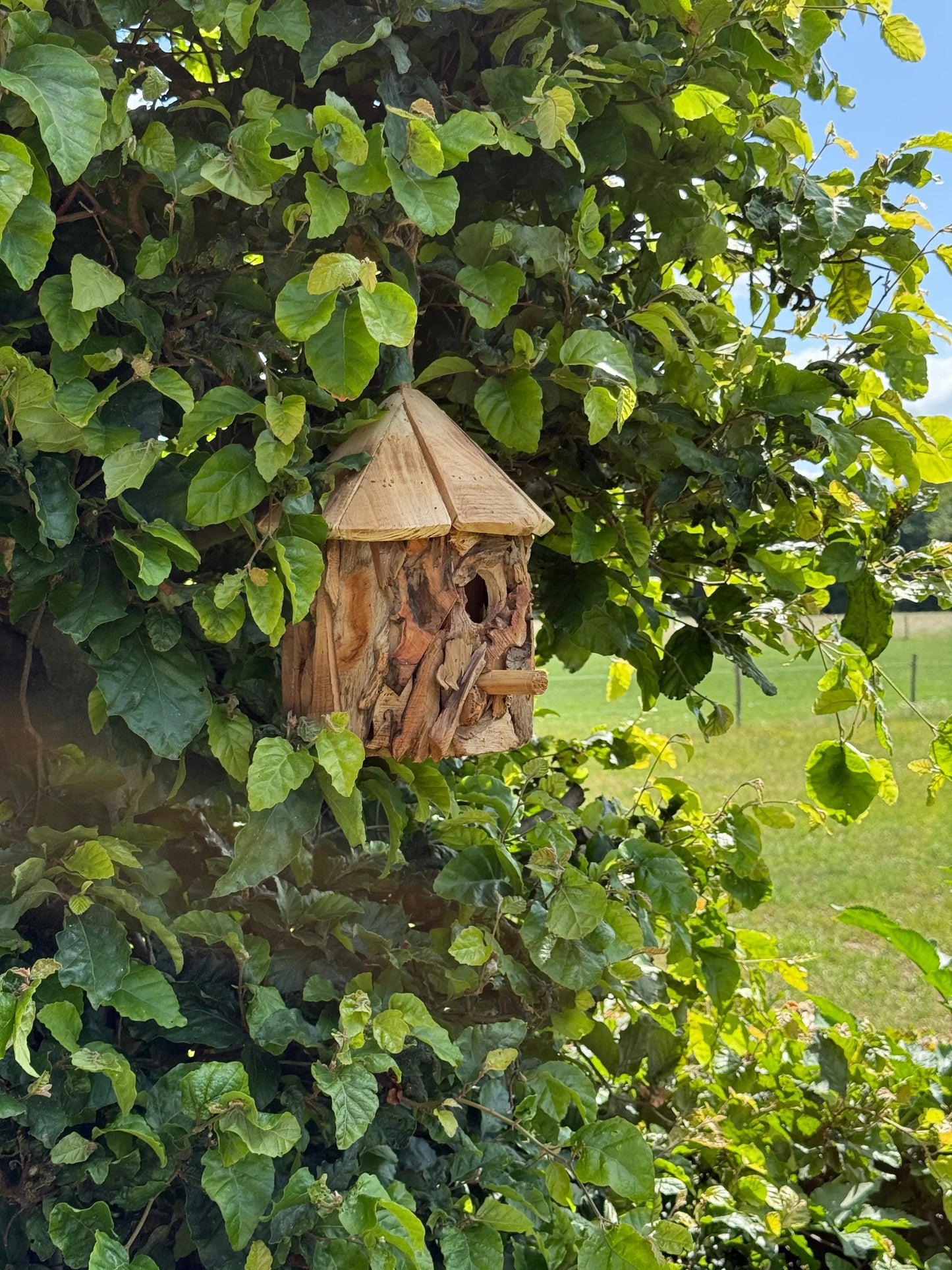 Vogelhuis van drijfhout