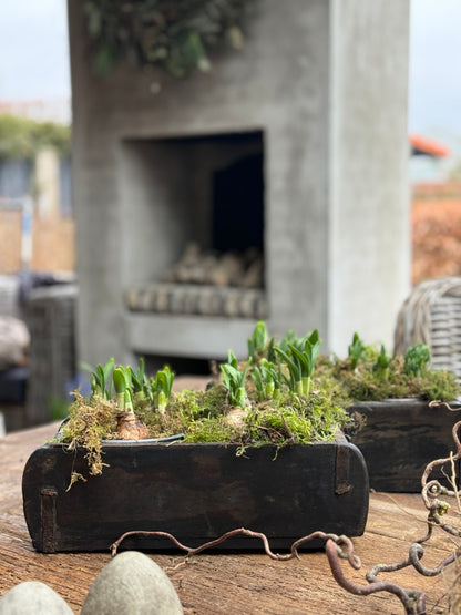 Holzsteinform mit 1 Fach – Dunkel verwittertes Holz