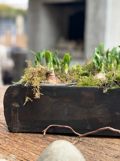 Holzsteinform mit 1 Fach – Dunkel verwittertes Holz