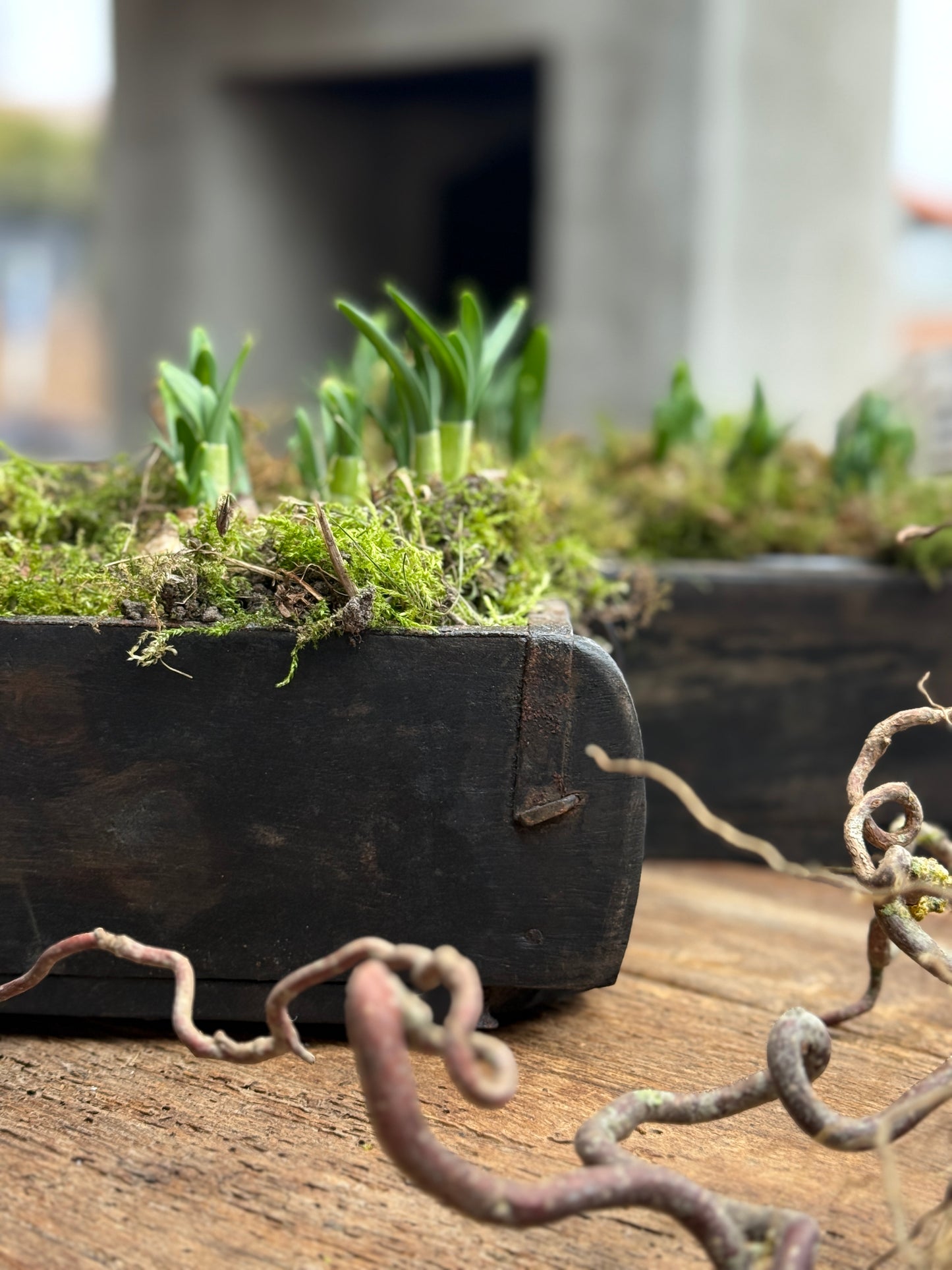 Holzsteinform mit 1 Fach – Dunkel verwittertes Holz