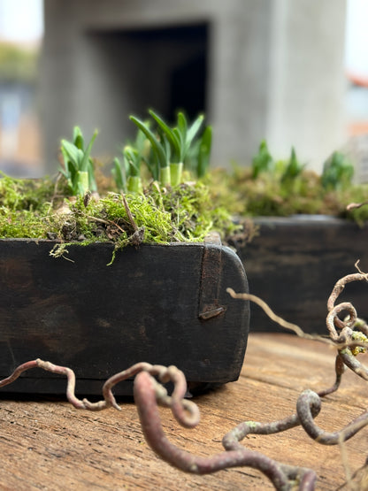 Holzsteinform mit 1 Fach – Dunkel verwittertes Holz