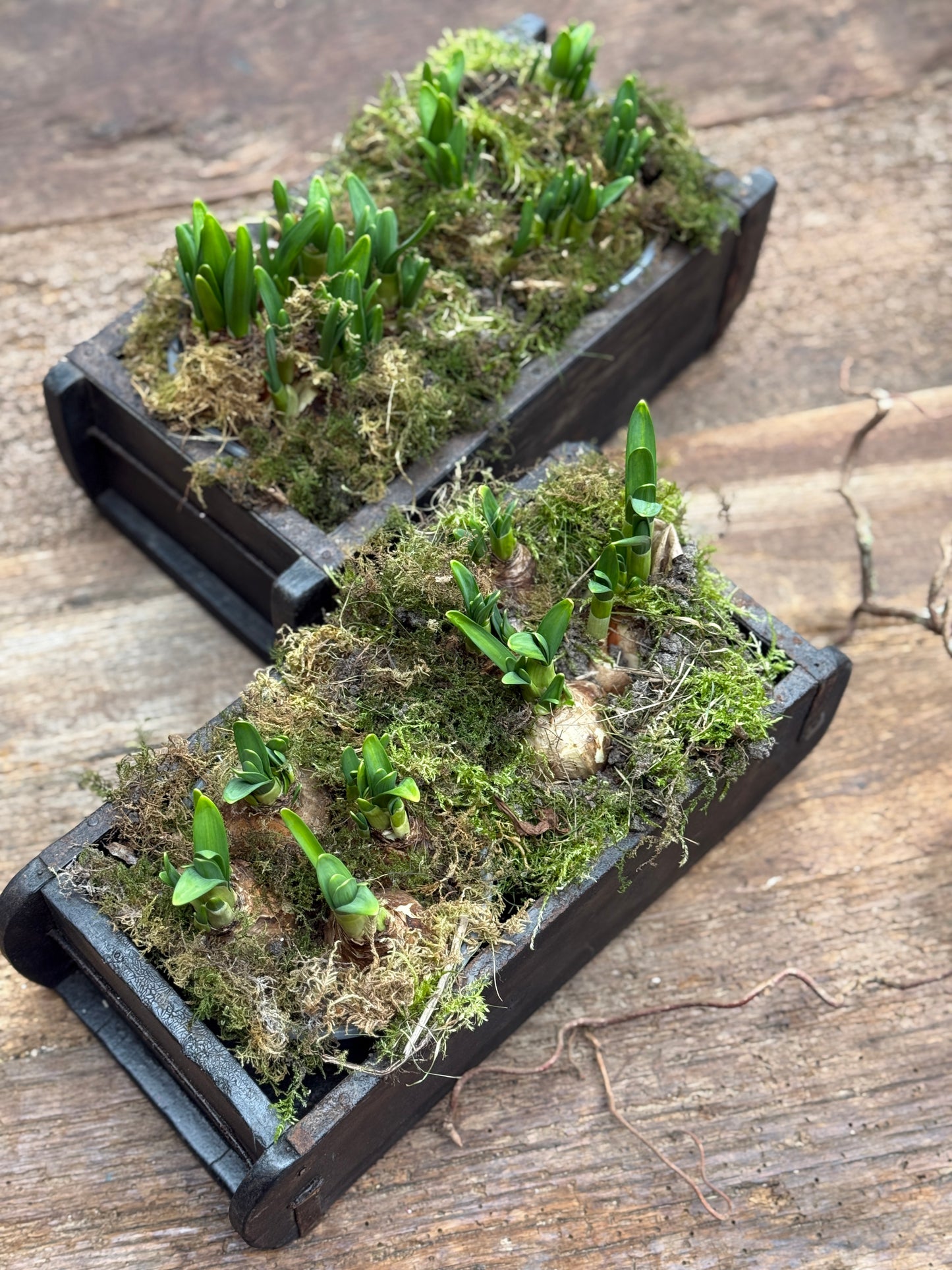 Holzsteinform mit 1 Fach – Dunkel verwittertes Holz