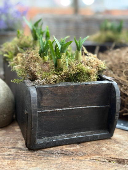 Wooden Stone Mold with 1 Compartment – ​​Dark Weathered Wood