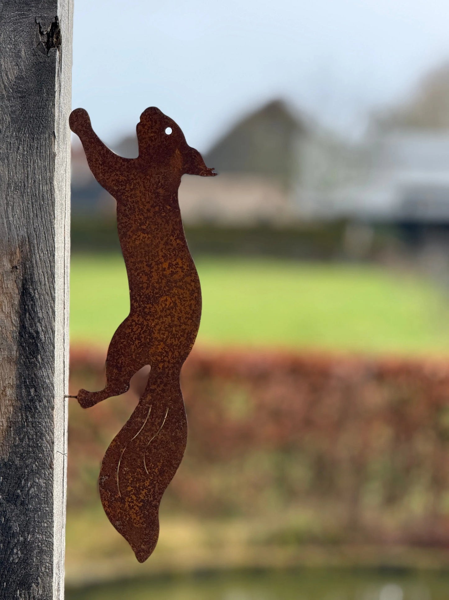 Squirrel of Rusted Metal