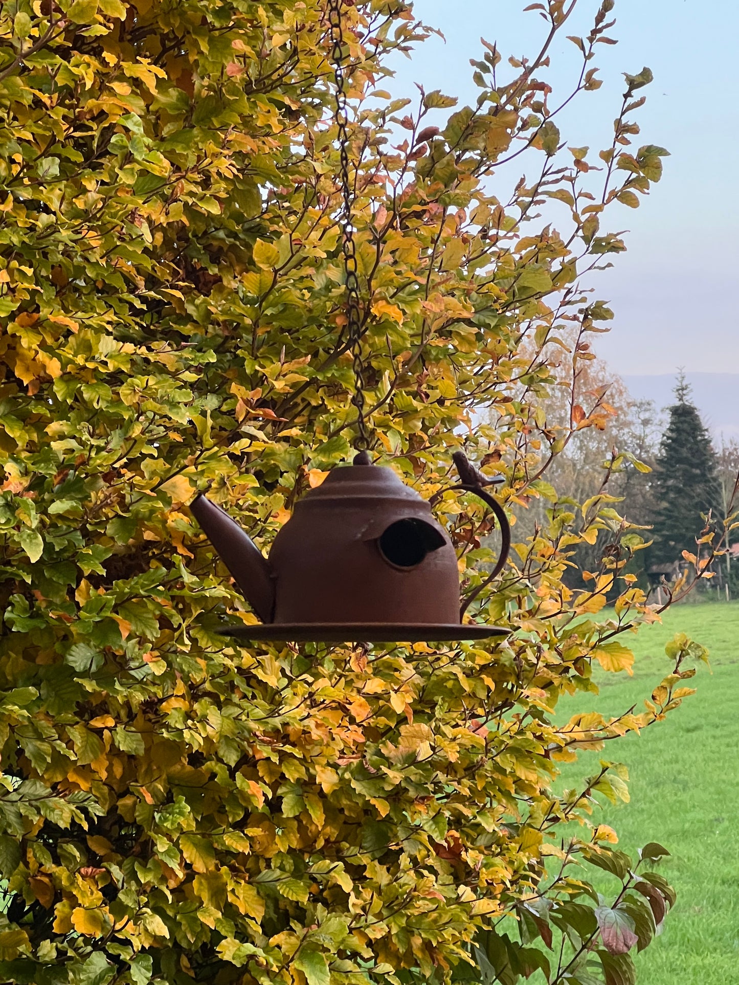 Vogelhuisjes Theepot