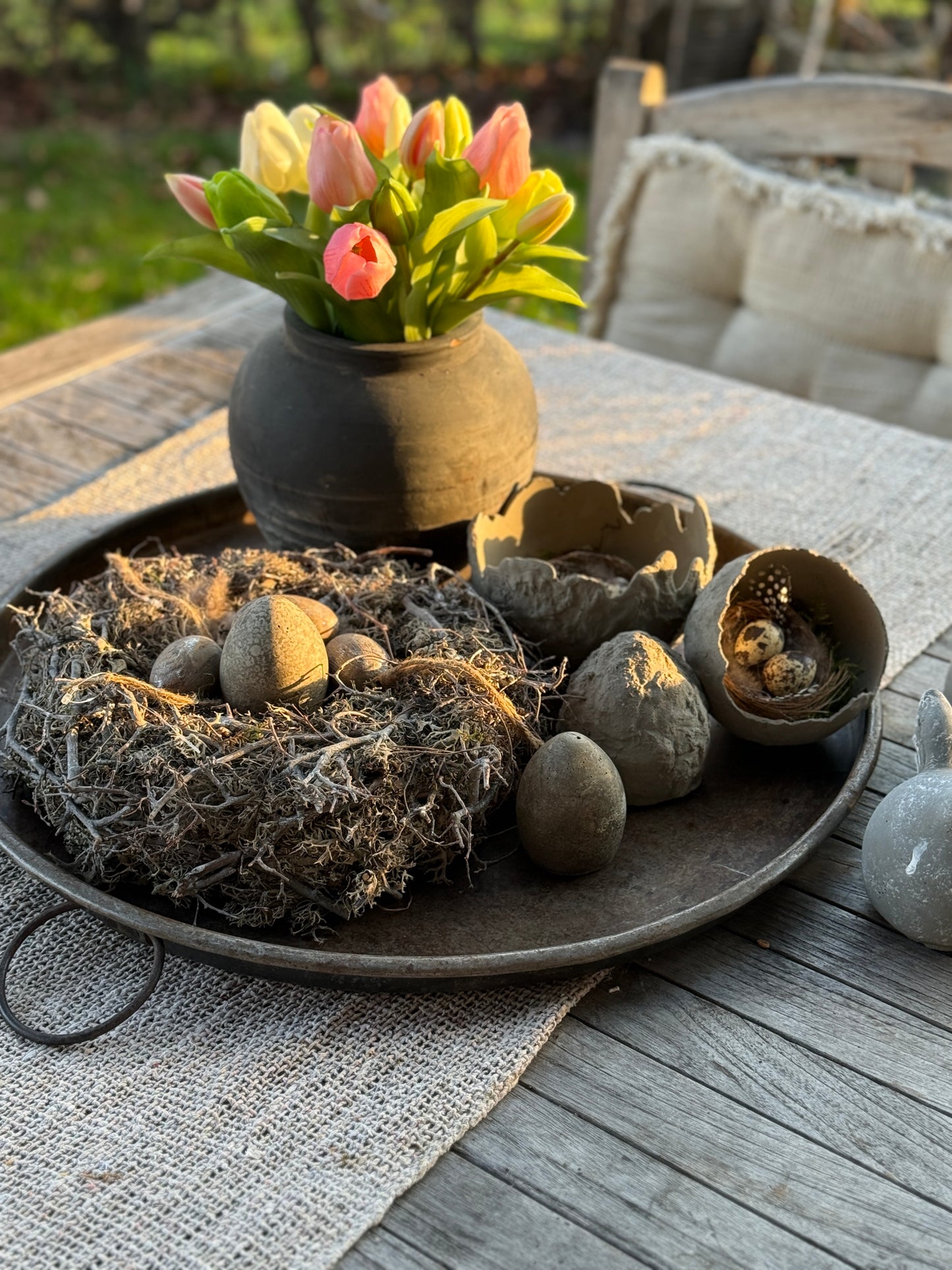 Nest of gray moss and bonsai, 30 cm.